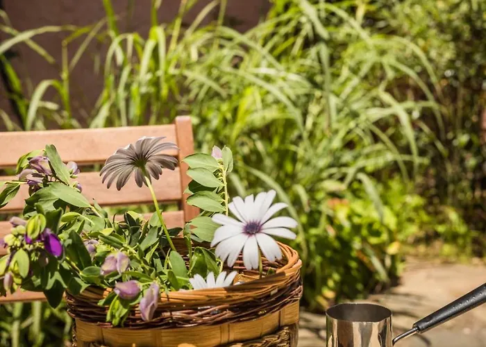 Апартаменты Eleonas - Kardamili's Acqua Bliss *